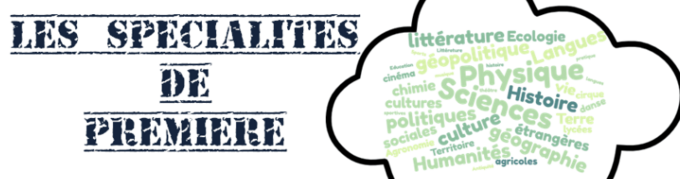 Capture d’écran 2026-02-02 à 08.12.13.png